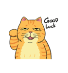 Tong Fat cat（個別スタンプ：24）