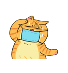 Tong Fat cat（個別スタンプ：25）