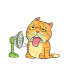 Tong Fat cat（個別スタンプ：35）