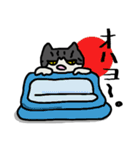 のんびり猫_クロミミ（個別スタンプ：8）