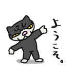 のんびり猫_クロミミ（個別スタンプ：17）