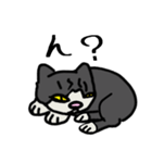 のんびり猫_クロミミ（個別スタンプ：34）