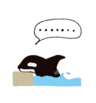 はしゃぐシャチっ子（個別スタンプ：16）