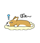 おしゃべりコーギー（個別スタンプ：6）