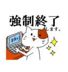 日常にネコ！（個別スタンプ：40）