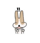 うちのこたろう  2（個別スタンプ：11）