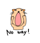 Kawaii cats (only English)（個別スタンプ：8）