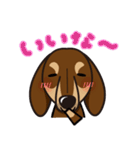 iinu ダックスフンド（個別スタンプ：23）