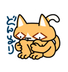 目つきの悪いねこ（個別スタンプ：16）