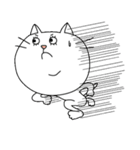 白いニャンコスタンプ（個別スタンプ：9）
