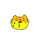 黄色い猫で遊ぼう（個別スタンプ：16）