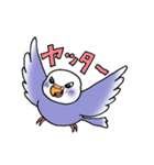 "セキセイインコの日常" 鳥さんと一緒04（個別スタンプ：12）