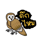 lovely lovely animals（個別スタンプ：31）
