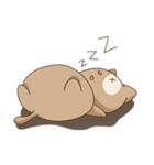 Fat Cat（個別スタンプ：21）