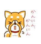 -柴犬～むさしの旅～関西弁編-（個別スタンプ：20）