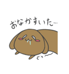 のほほんわんこクッキー（個別スタンプ：16）