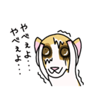 許してください！何でもしますから！（個別スタンプ：36）