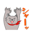 えりまきニャンコ、モモジロウ 1（個別スタンプ：21）