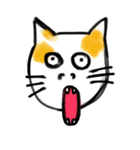 あいた口がふさがらない猫（個別スタンプ：13）