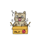福笑い少女あさみ（個別スタンプ：10）