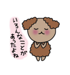 トイプードルのチョコチップ（個別スタンプ：11）