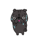 ぱぐちゃんスタンプ（個別スタンプ：25）