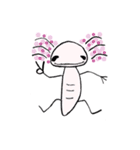 ウーパ（個別スタンプ：1）
