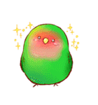 もふもふインコちゃん（個別スタンプ：33）