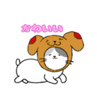 うちニャン2（個別スタンプ：1）