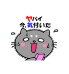 うちニャン2（個別スタンプ：15）