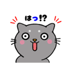 うちニャン2（個別スタンプ：22）