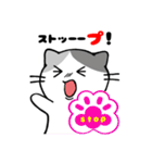 うちニャン2（個別スタンプ：34）