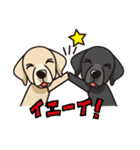 iinu ラブラドール・レトリバー（個別スタンプ：36）
