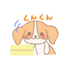 キャバリアのちゃっぴぃ（個別スタンプ：13）