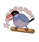 文鳥スタンプ P.01（個別スタンプ：29）