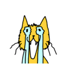 だいたい猫の画像（個別スタンプ：19）