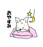 B犬（個別スタンプ：18）