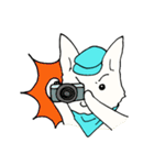 B犬（個別スタンプ：38）