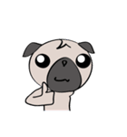 pugchii 2（個別スタンプ：2）