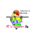 インコな日常 2.1（個別スタンプ：21）