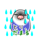 インコな日常 2.1（個別スタンプ：24）