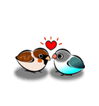 インコな日常 2.1（個別スタンプ：27）