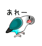 インコな日常 2.1（個別スタンプ：29）