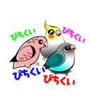 インコな日常 2.1（個別スタンプ：38）