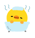 ぴっぴ（個別スタンプ：22）
