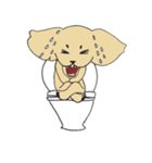 Kiki the poodle（個別スタンプ：37）