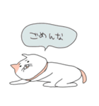 ゆるりねこ（個別スタンプ：11）