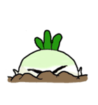 新鮮野菜 ダイコンくん（個別スタンプ：33）