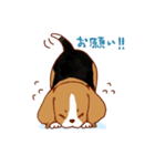 子犬のビーグル（個別スタンプ：6）
