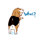 子犬のビーグル（個別スタンプ：25）
